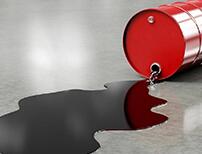 5��14�Շ����̓r�����{�� �����ԁ����ȔR�\